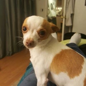 Meet your Posher, Leah